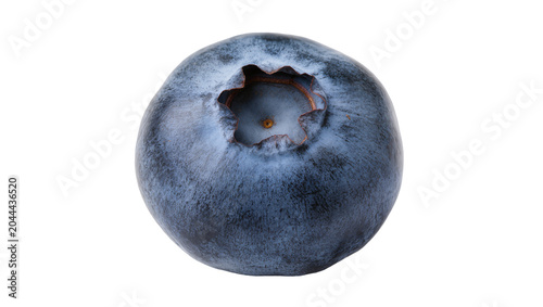 Schilderij op canvas Single ripe blueberry with bloom and calyx detail