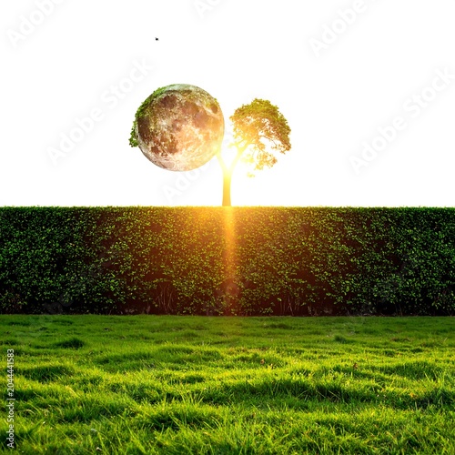 A surreal landscape with a tree, a large moon, and a sunburst behind the tree