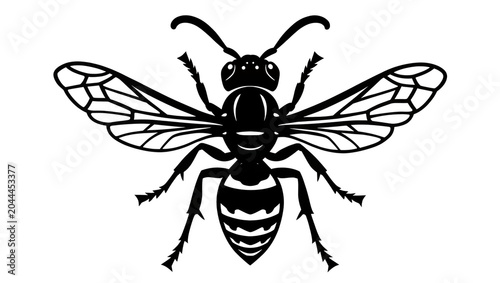 Foto Black silhouette of a wasp with spread wings