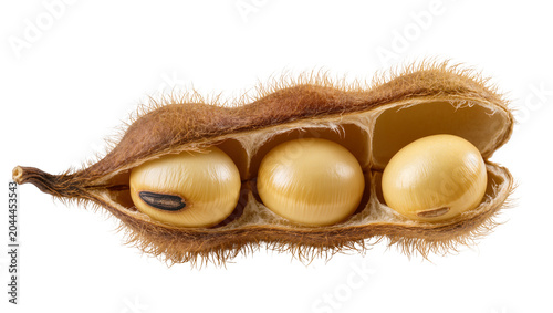 Foto Soybean pod with three ripe seeds inside