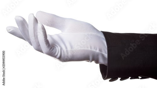 Εκτύπωση καμβά White fabric glove with black suit cuff