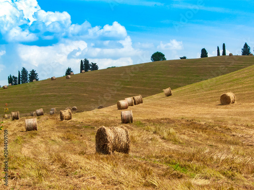 Italia, Toscana, Campagna di Montaione.