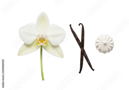 A white vanilla orchid flower, two dark brown dried vanilla bean pods, and a single white piped meringue cookie isolated on a black background