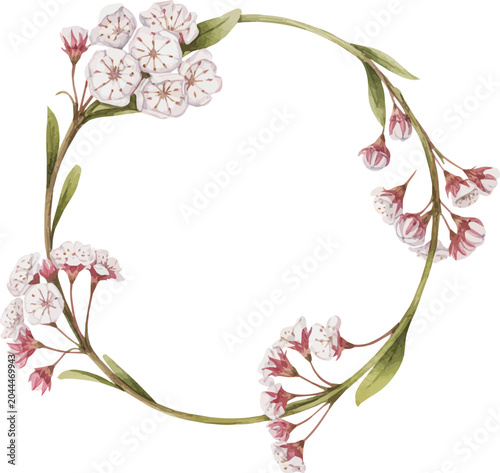 watercolor A Mountain Laurel Stem flower wreath frame vector illustration isolated on white background