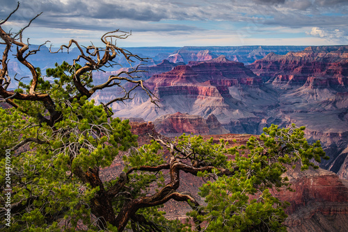 Εκτύπωση καμβά Natural scenery of the Grand Canyon National Park, Colorado, USA
