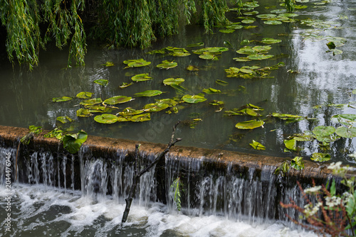 Sluice and water lilies on the River Ouse at Barcome Mills