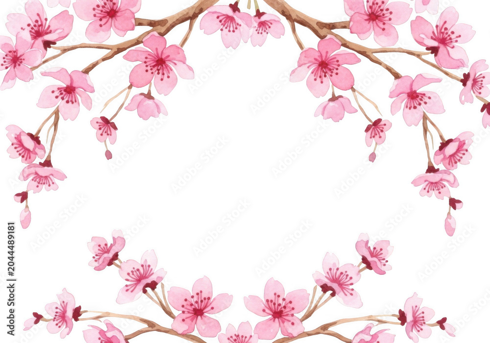 Fototapeta premium Watercolor of pink cherry blossom branches forming a circular frame against a solid black background, spring floral border