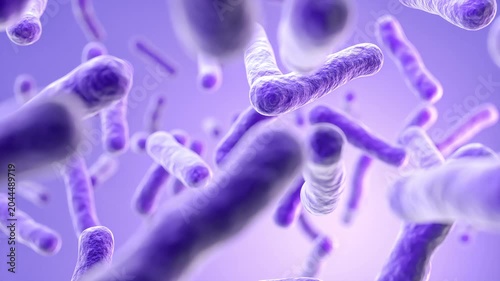 Lactobacillus bacteria, probiotic medical background 3d animation.