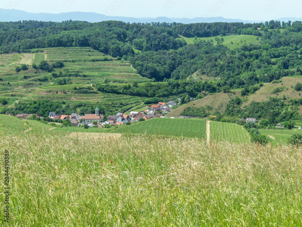 Fototapeta premium Scenic terraced vineyards and village in a lush valley