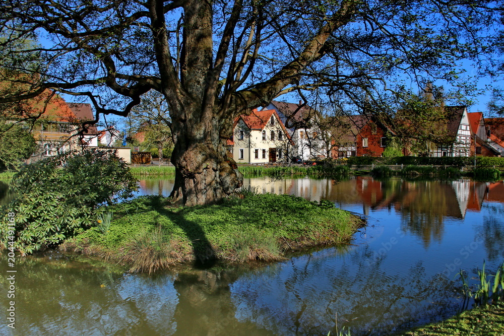 Obraz premium Der Menteteich in Alverdissen (Lipperland)