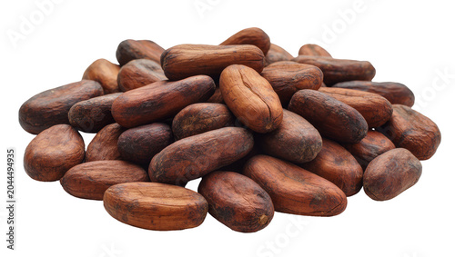 Schilderij op canvas Pile of dried cocoa beans with textured brown shells