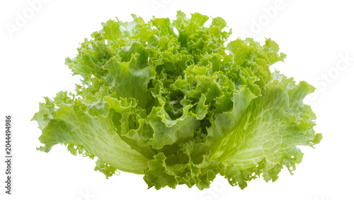 Konstfotografi Fresh green lettuce head with ruffled leaves