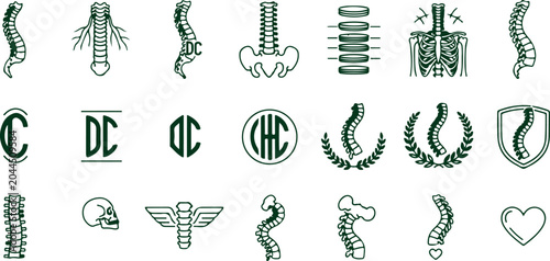Bild auf Leinwand Medical illustrations of human spine skeletal anatomy vertebral column and related symbols on a transparent background for health education