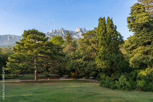Quadro su tela Scenic park with lawn in foreground