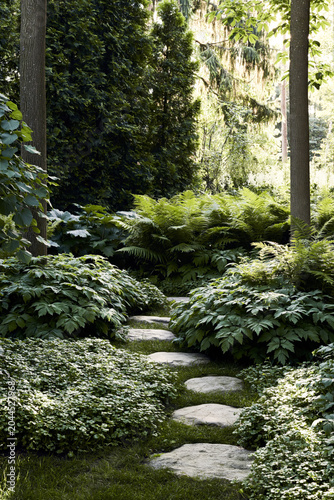 Shaded garden path with flat stepping stones, ferns, ground cover, and towering trees in dappled summer light.