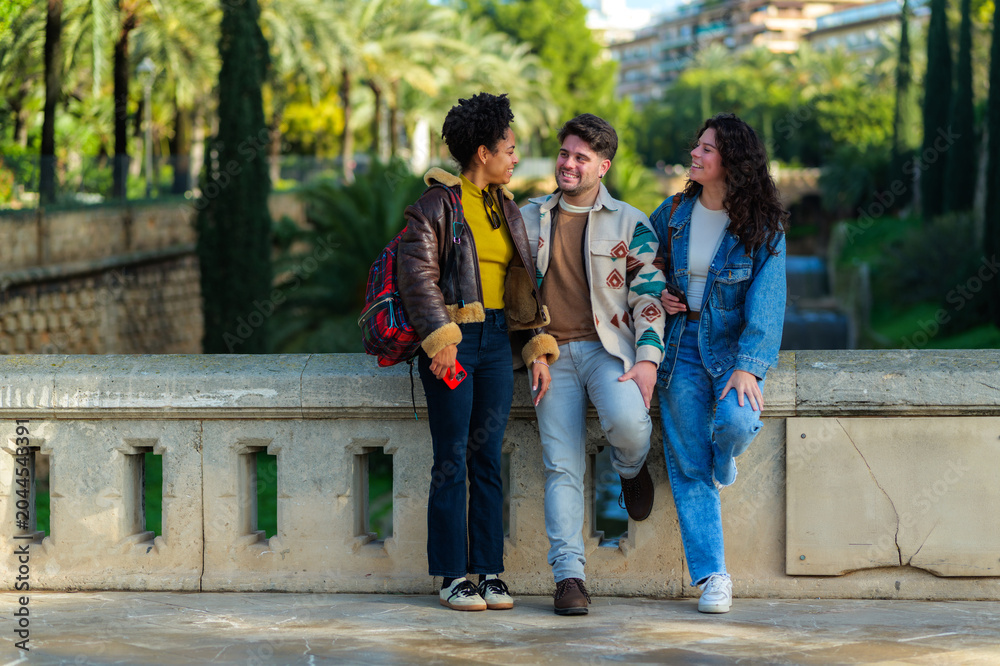 Fototapeta premium Group of diverse urban friends standing together, communicating, and smiling happily in an outdoor city park, enjoying a casual social gathering on a sunny daytime