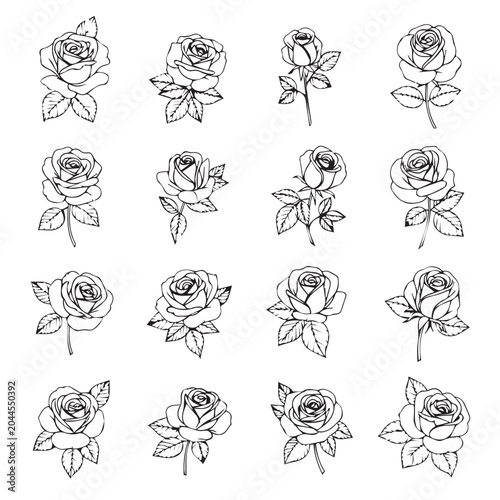 Delicate Rose Illustrations on White Background with Leafy Stems and Bud Details