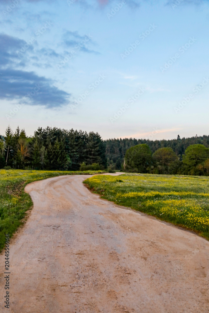 Naklejka premium road in the countryside