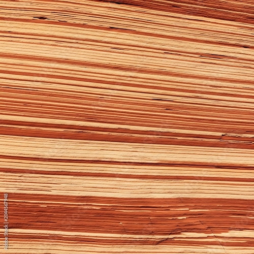 Natural grain texture of sliced zebra wood close up with laminate, material