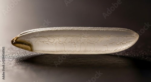 Single grain of white raw rice on dark textured surface with carbohydrate