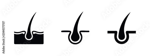 Cuadro en lienzo Three hair strand icons in silhouette, isolated on white