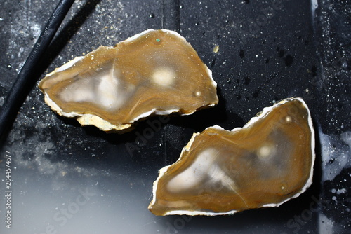 Photography Two halves of a sliced flint nodule reveal intricate brown and white mineral pat