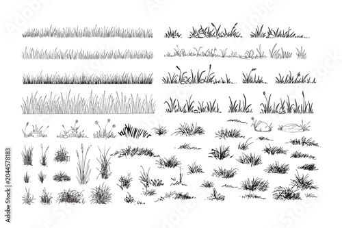 Hand Drawn Grass Bushes and Ground Cover Elements Vector Collection
