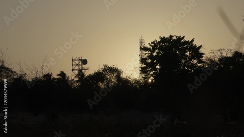 Mumbai silhouette of a tree in sunset