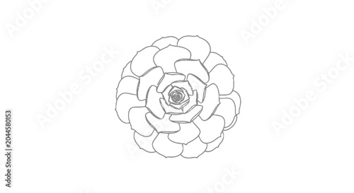 Obraz na płótnie Floral rosette line drawing on black background