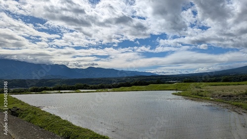 水田と雲と空