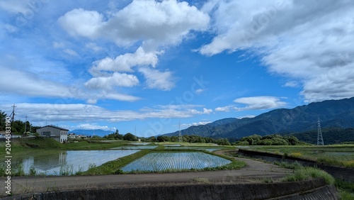 田んぼと空と雲