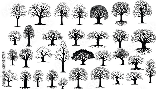 Leafless Tree Silhouette Collection Set with Bare Branch Winter Trees Isolated Vector Illustration