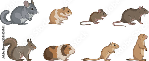 Fotografija Realistic Small Rodent Animal Collection Set Featuring Chinchilla Hamster Mouse