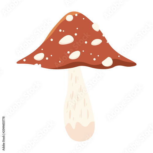 Photography Isolated pointy fly agaric mushroom vector illustration