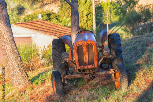Old orange rusty tractor in a field lose up