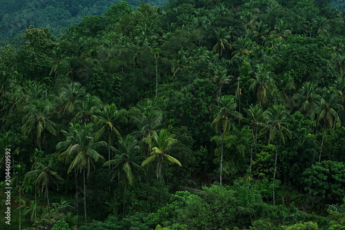 Beautiful skyline view of Kerala