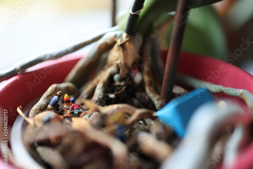 Miniature people on a roots of a flower.