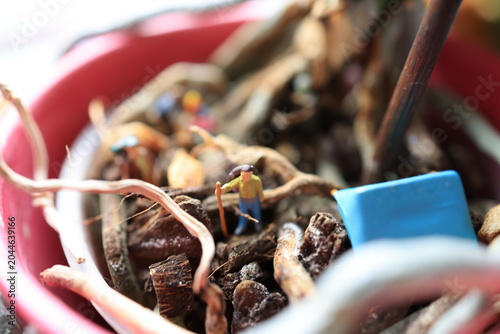 Miniature people on a roots of a flower.