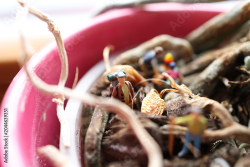 Miniature people on a roots of a flower.