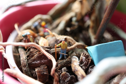 Miniature people on a roots of a flower.