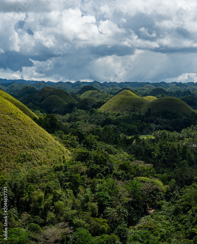Green Chocolate Hills and tropical valley in Bohol, Philippines