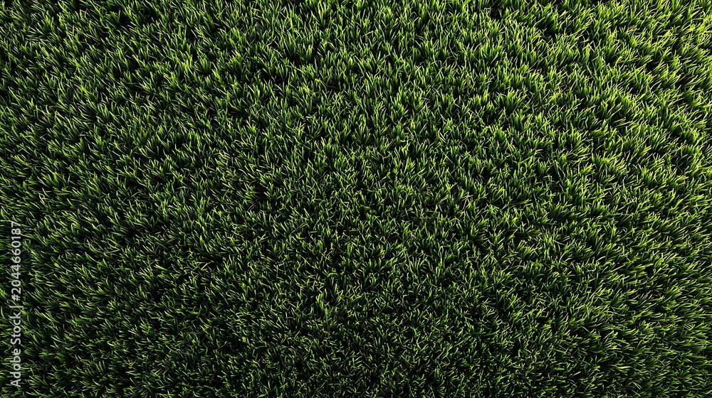 Obraz premium Lush Grass Background / 青々とした芝生の背景