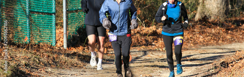 Runners Participate in a Race on a Sunny but Cold Day in the Park