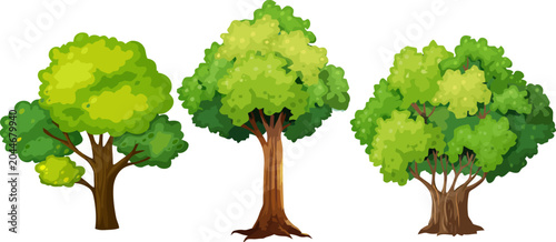 Three Cartoon Trees Standing
