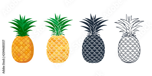 Pineapple set: realistic, stylized, silhouette, outline
