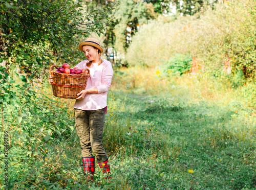 Woman holding large basket full of freshly picked red apples standing in orchard during harvest
