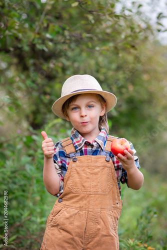 Boy in hat holding bitten red apple and showing thumbs up in orchard during autumn harvest