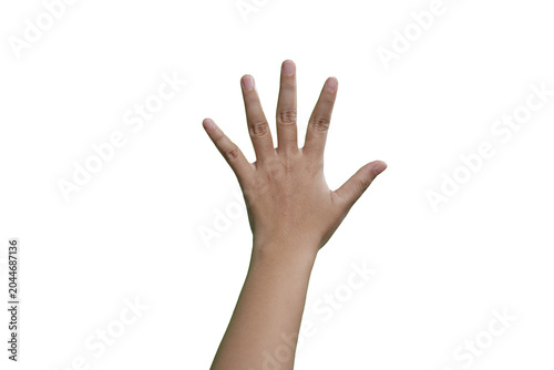 Set of counting hand women sign isolated on white background