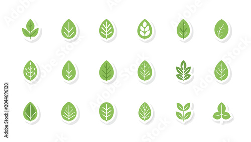 Slika na platnu Collection of various green leaf shapes.