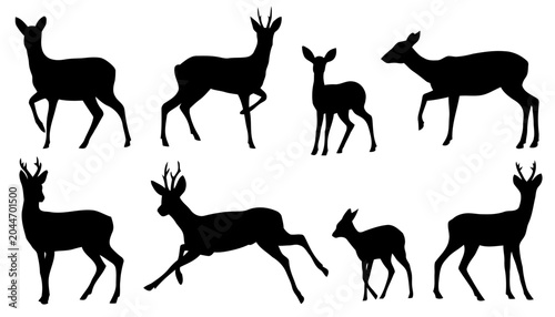 Set of Deer Silhouettes in Various Poses on White Background